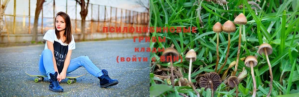 кокаин перу Михайлов