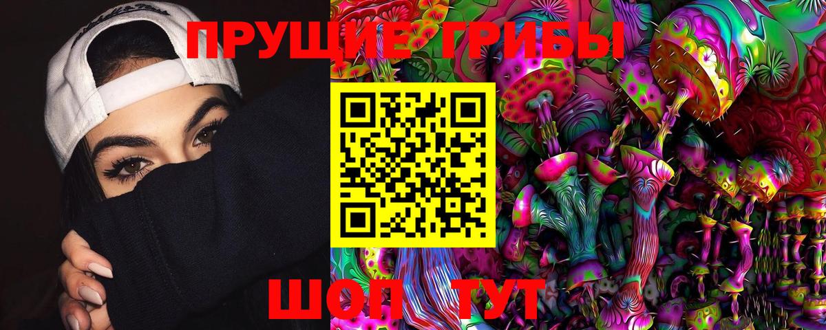 Саки  Псилоцибиновые грибы MAGIC MUSHROOMS  цены наркотик  Вход с VPN 